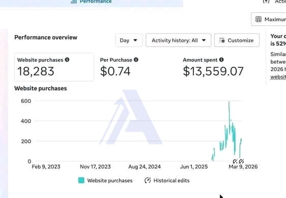 Scaling E-commerce 18,283 Purchases at $0.74 CPA